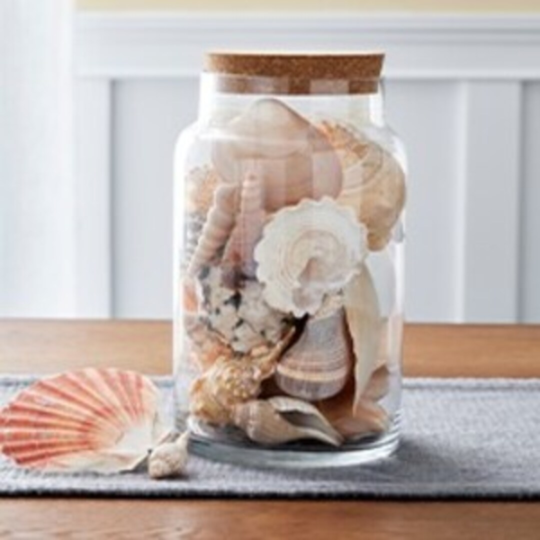 A group of acorns floating in the air